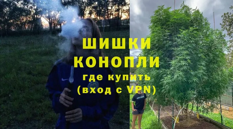 продажа наркотиков  Лагань  Шишки марихуана OG Kush 